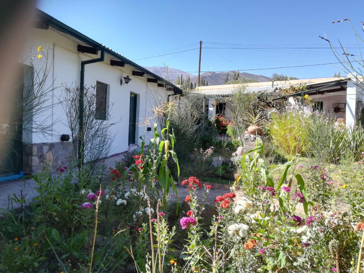 טיליקארה Villa Nanin מראה חיצוני תמונה
