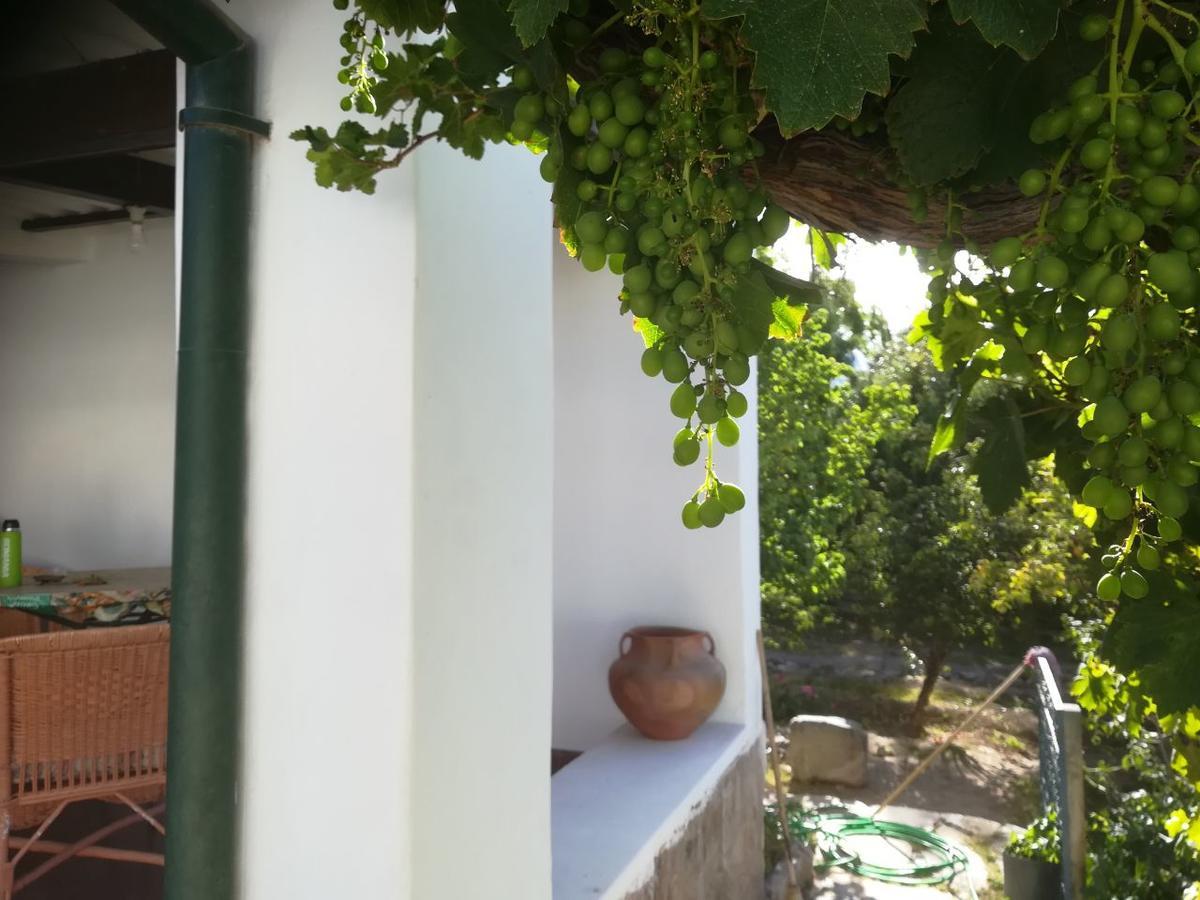 טיליקארה Villa Nanin מראה חיצוני תמונה
