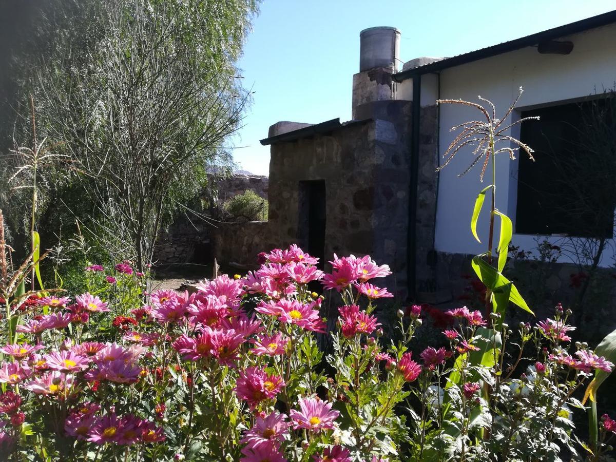 טיליקארה Villa Nanin מראה חיצוני תמונה
