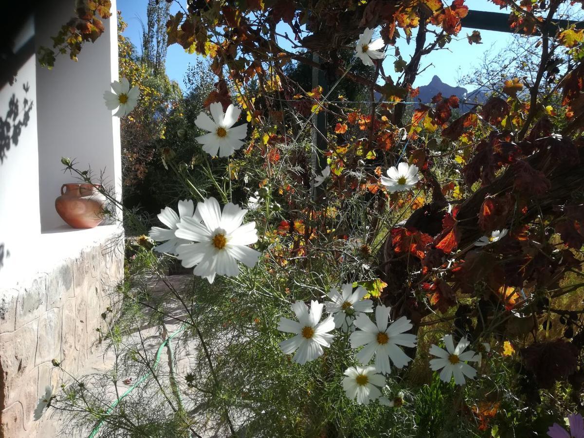 טיליקארה Villa Nanin מראה חיצוני תמונה