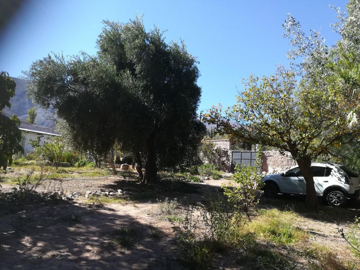 טיליקארה Villa Nanin מראה חיצוני תמונה