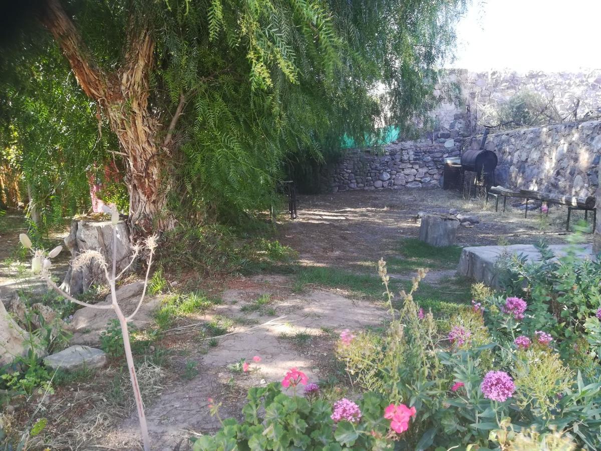 טיליקארה Villa Nanin מראה חיצוני תמונה