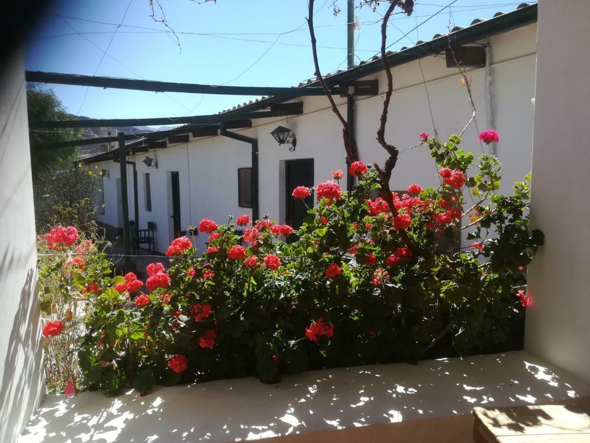 טיליקארה Villa Nanin מראה חיצוני תמונה